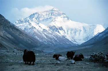 Everest Base Camp - Lhasa to Lhasa