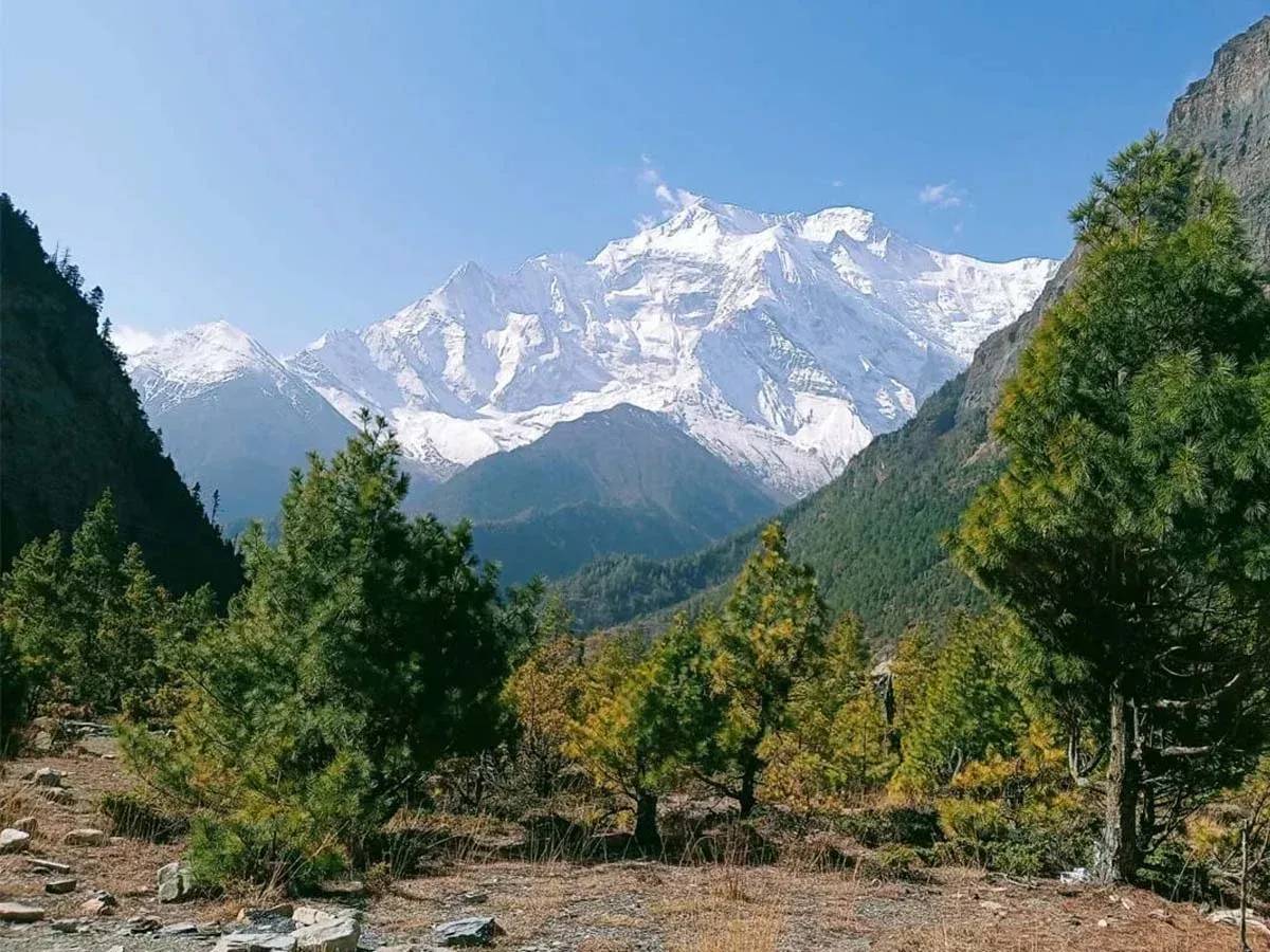 Round Annapurna Circuit Trek