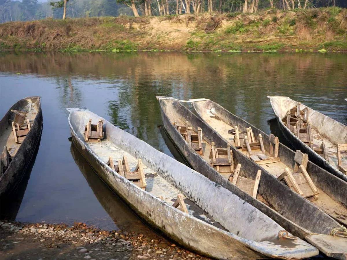 Chitwan Jungle Safari Adventure