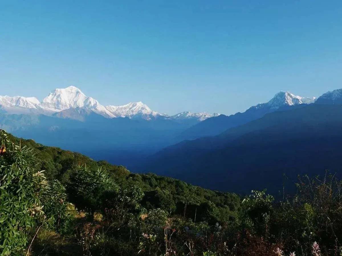 Ghorepani Poon Hill Trek