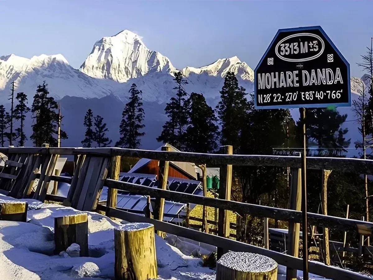 Mohare Danda Trek
