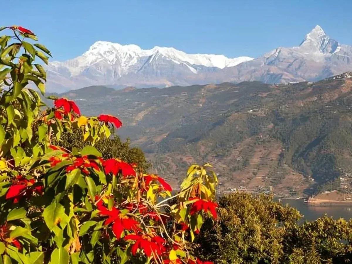 Mulde Hill Trek