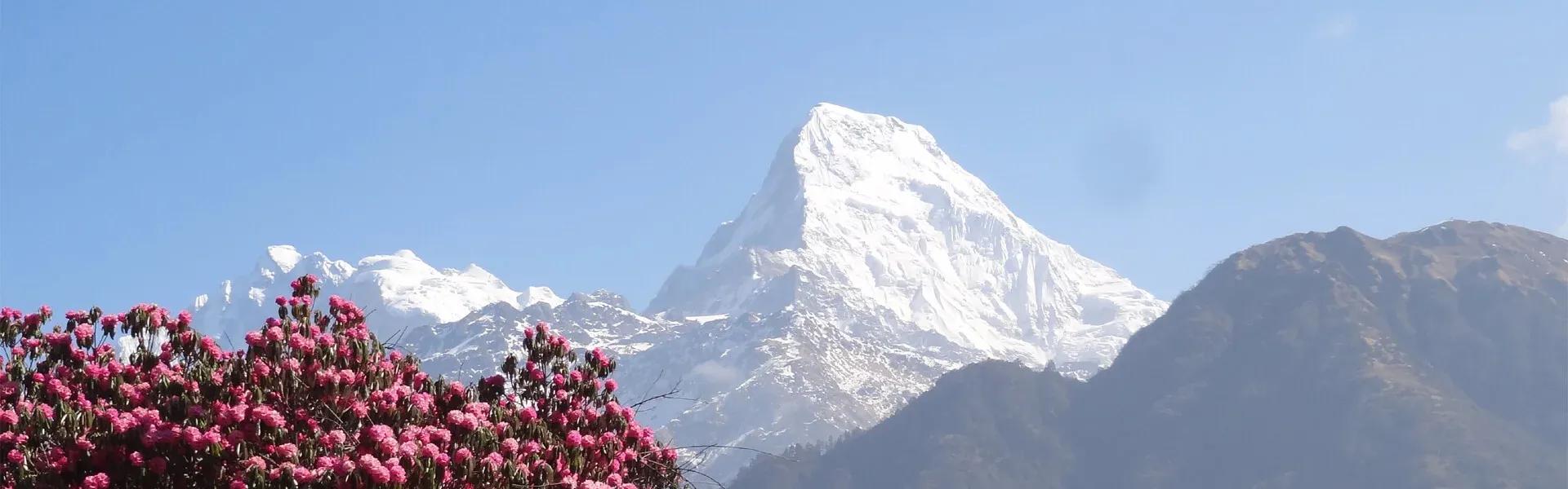 Annapurna Region