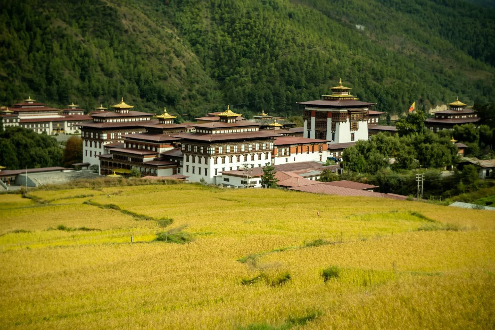 Bhutan Tour