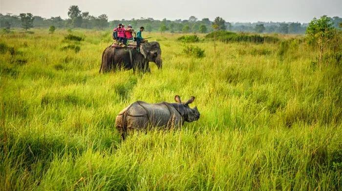 Chitwan Jungle Safari Tour image 1