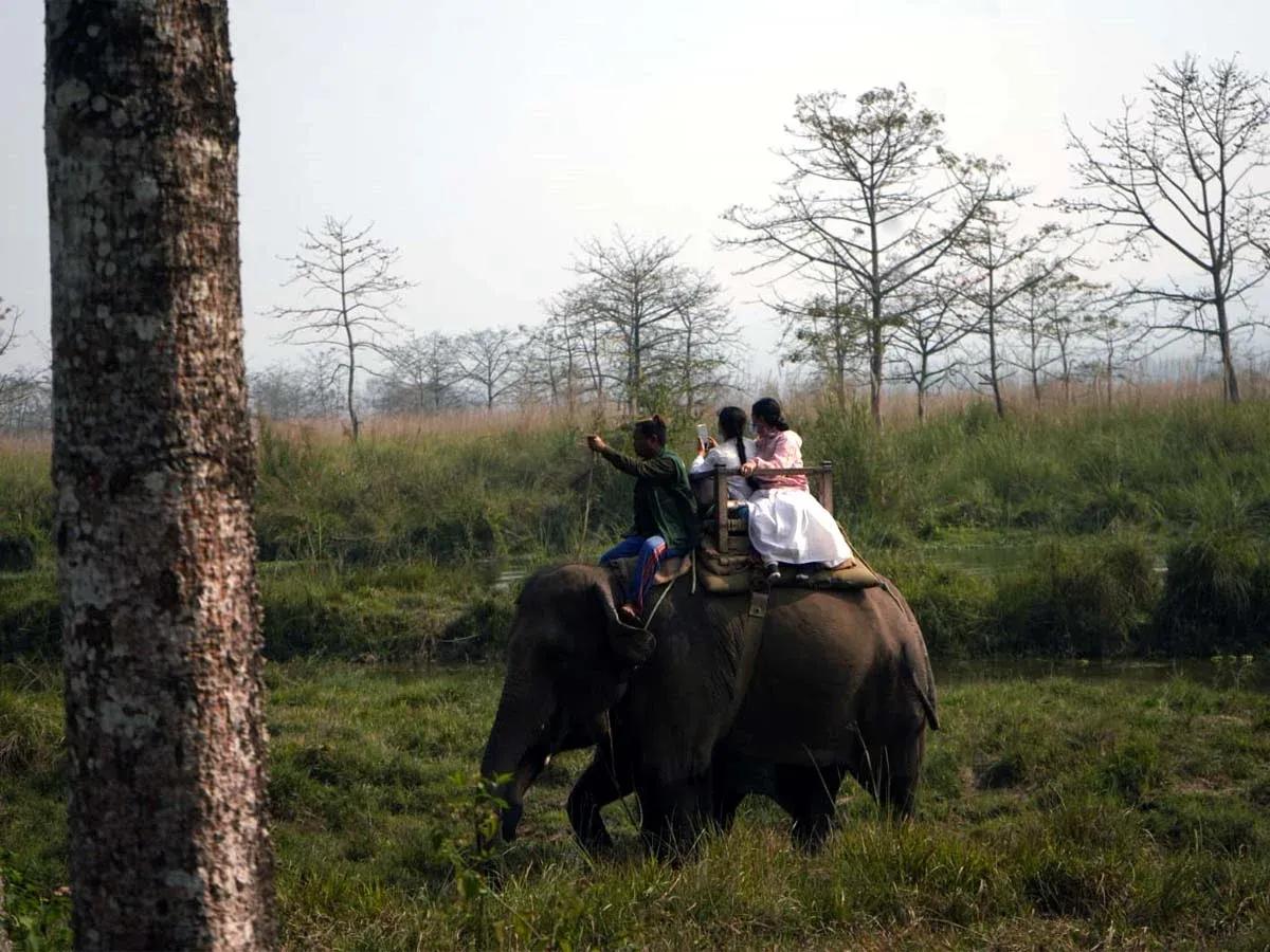 Chitwan Jungle Safari Tour