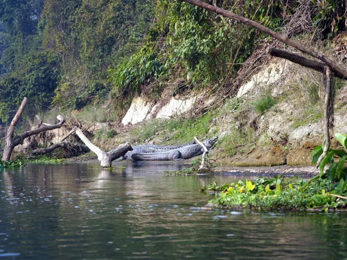 Chitwan National Park tour