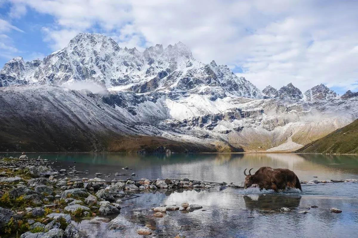 Everest Three High Passes Trek image 4