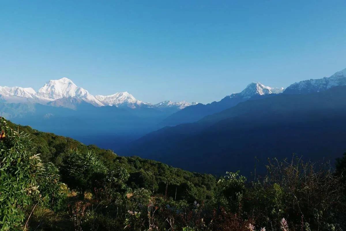 Ghorepani Poon Hill Trek image 2