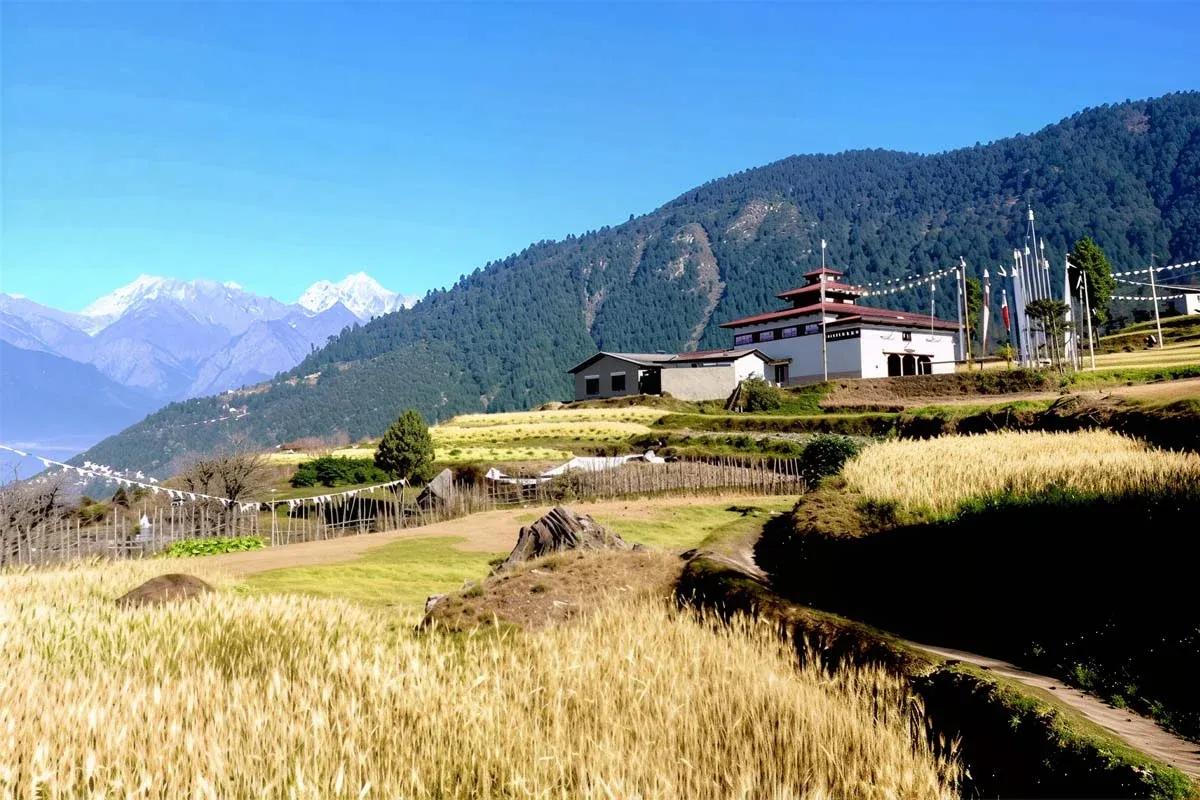Helambu Valley Trek image 1