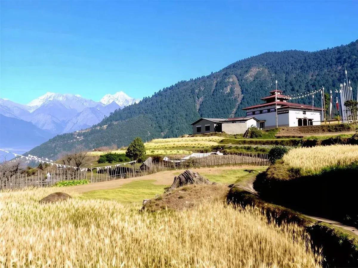 Helambu Valley Trek