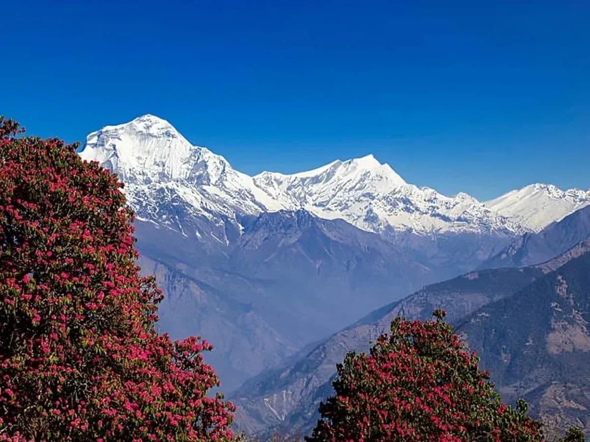 Mulde Viewpoint Trek