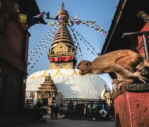 5 Reasons Why Nepal Should Be Your Next Adventure Destination