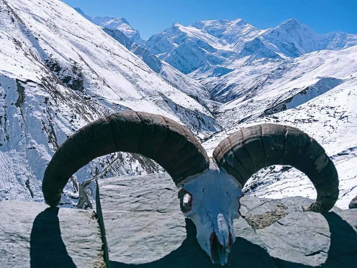 Annapurna Circuit Trek