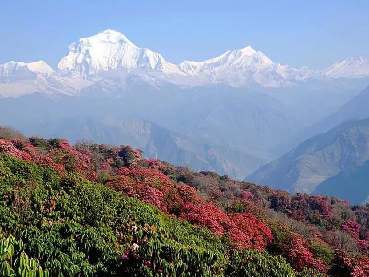 Ghorepani Poon Hill Trek