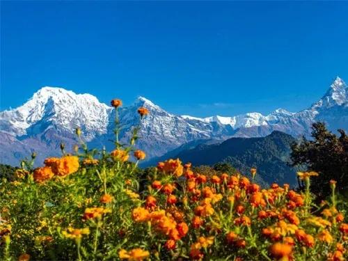 Australian Camp Trek