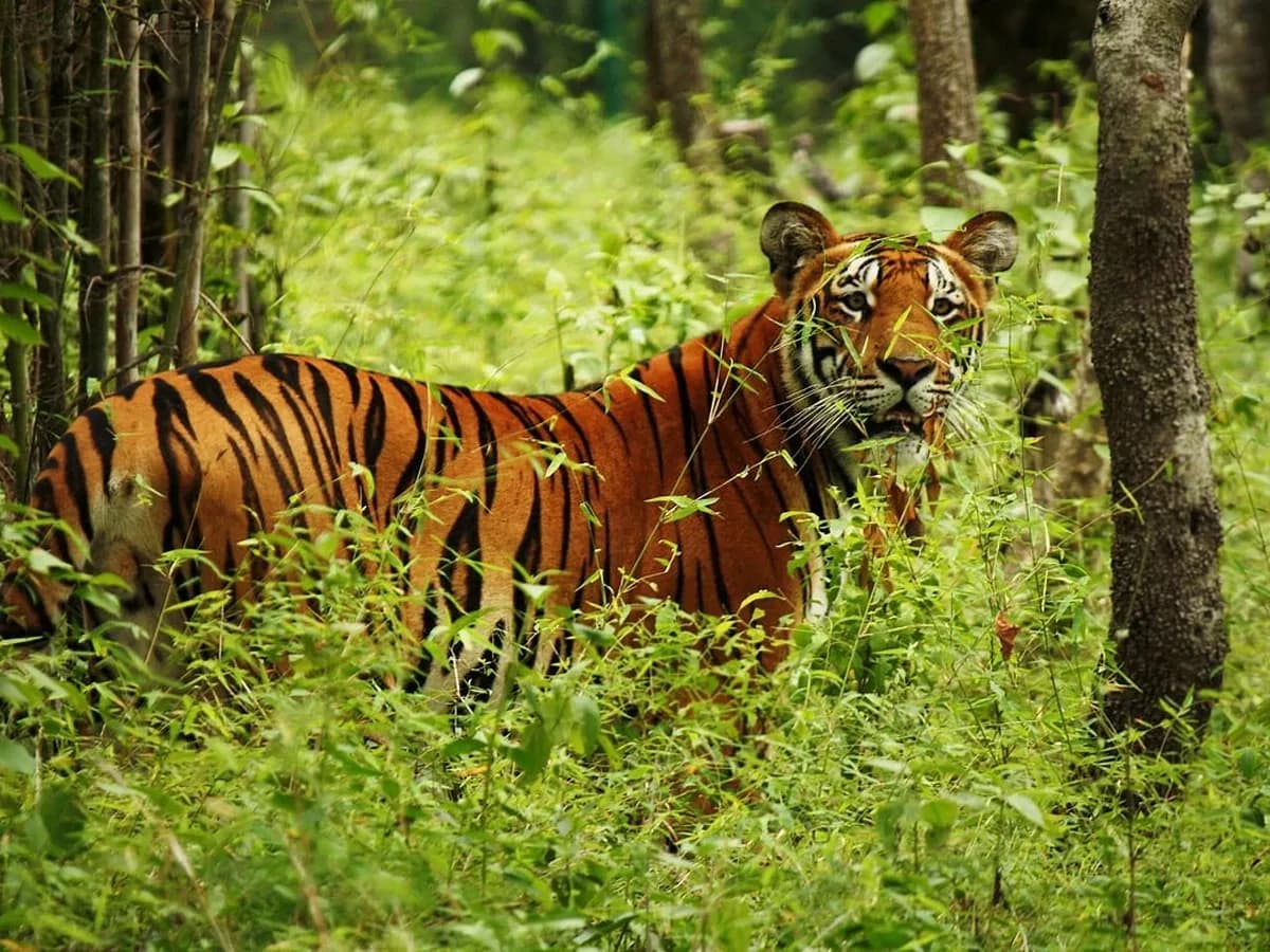 Nepal sightseeing tour