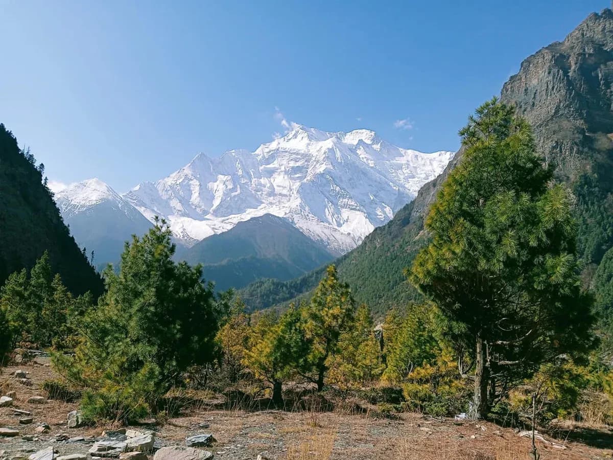 Tilicho Mesokanto La Pass Trek
