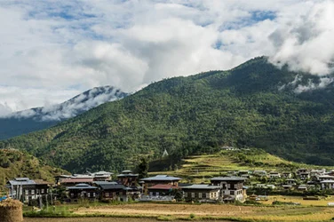 Punakha Trail Trekking
